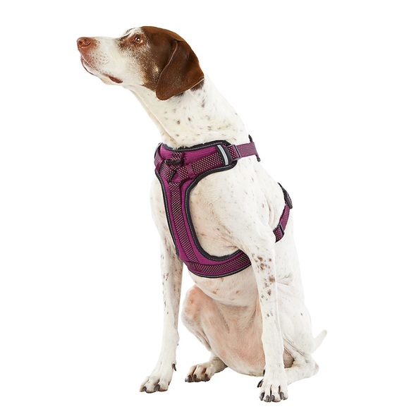 Top Paw Dog Top Paw Ultrareflective Dog Harness For Large Dogs In Purple Poshmark
